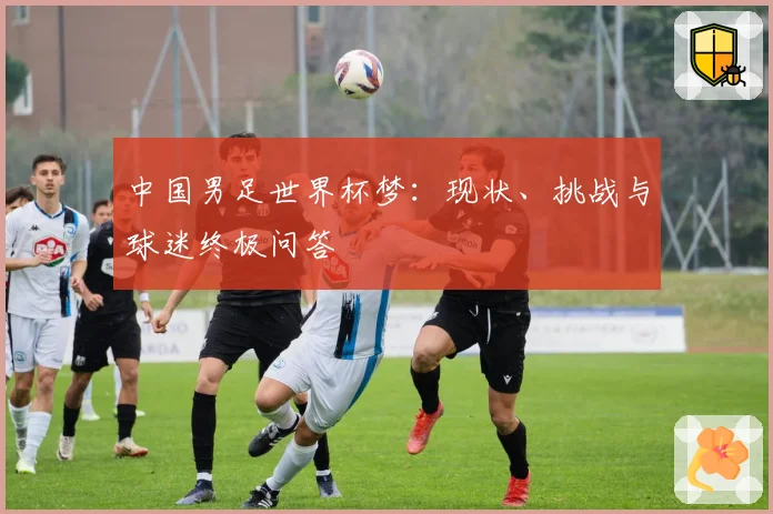 中国男足世界杯梦：现状、挑战与球迷终极问答