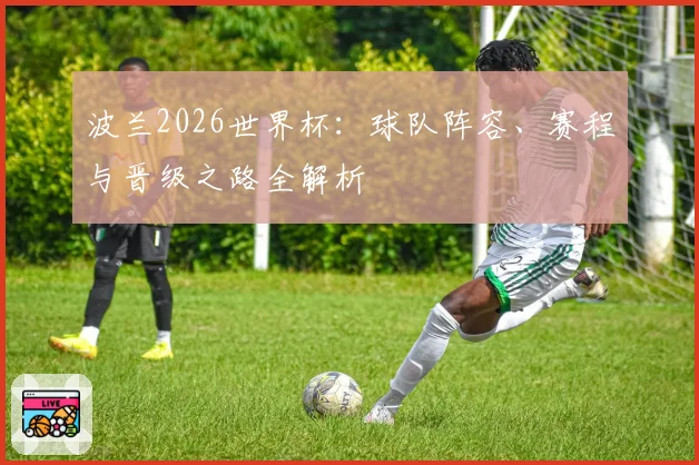 波兰2026世界杯：球队阵容、赛程与晋级之路全解析