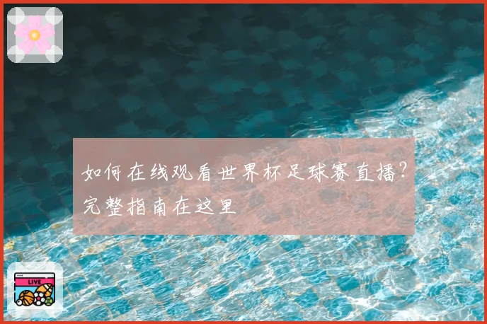 如何在线观看世界杯足球赛直播？完整指南在这里