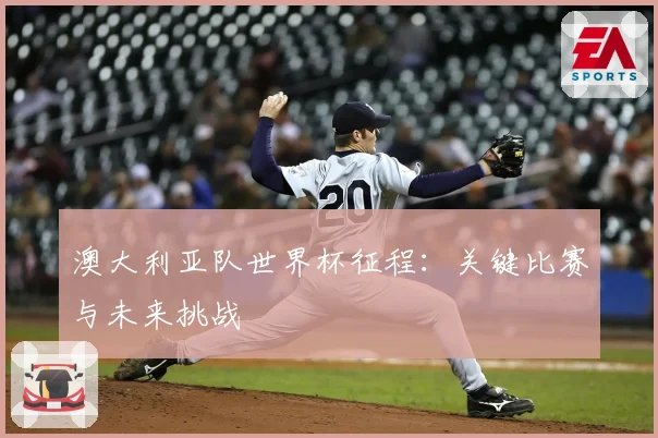 澳大利亚队世界杯征程：关键比赛与未来挑战